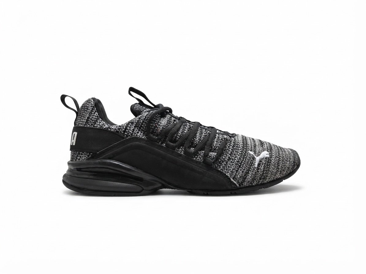 Puma Momenta